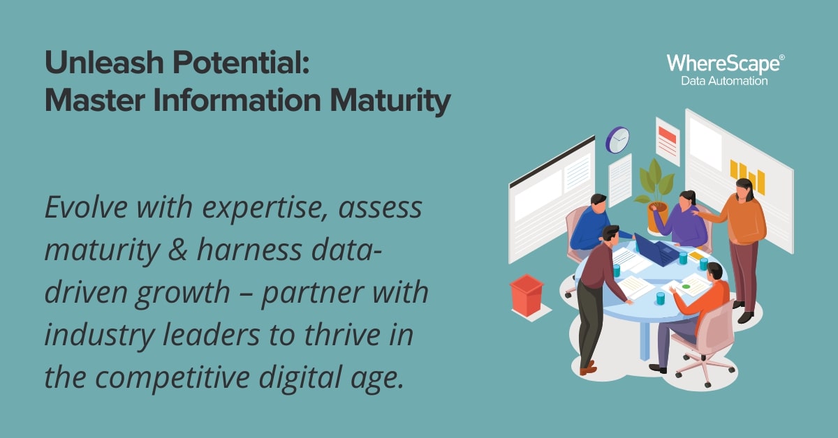 Information Management Maturity