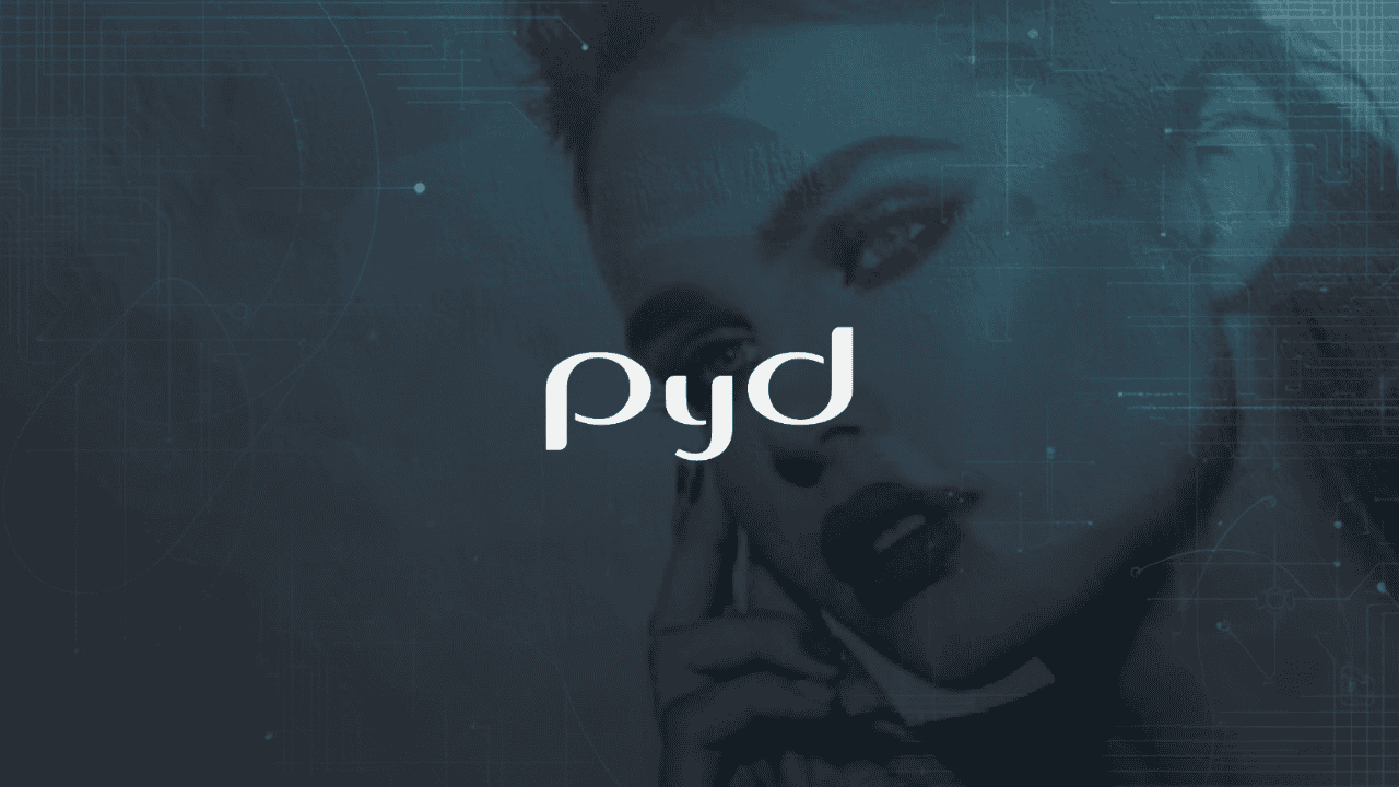 PyD Conquers Its Complex ERP Environment With Data Warehouse Automation