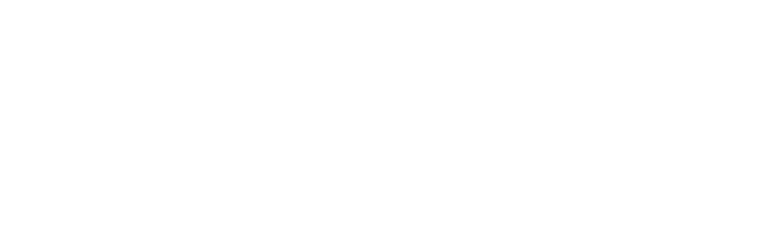 Wherescape main logo white